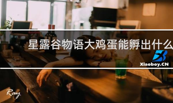 星露谷物语大鸡蛋能孵出什么