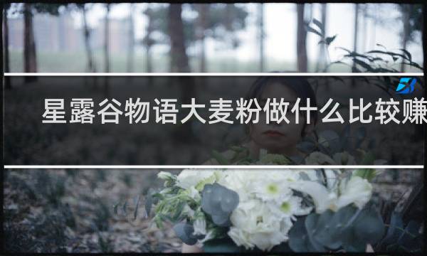 星露谷物语大麦粉做什么比较赚钱