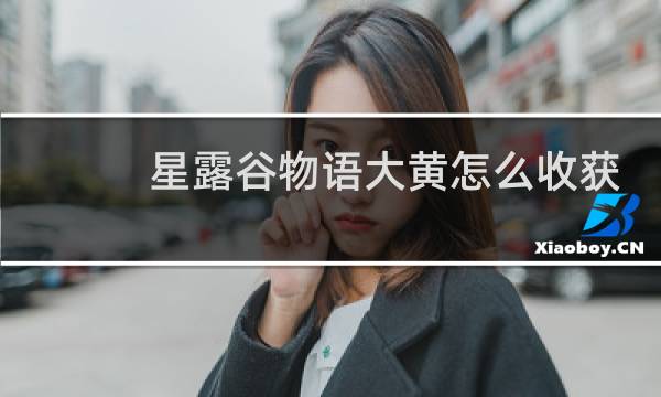星露谷物语大黄怎么收获