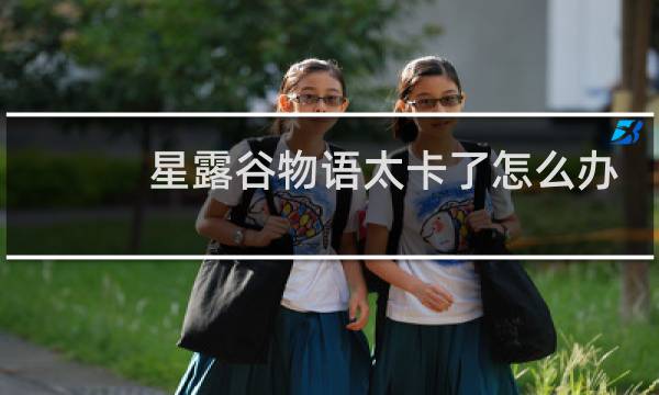 星露谷物语太卡了怎么办