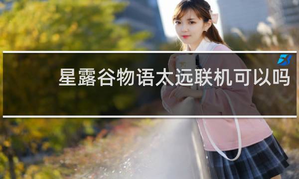 星露谷物语太远联机可以吗
