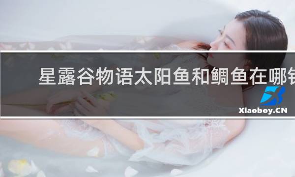 星露谷物语太阳鱼和鲷鱼在哪钓