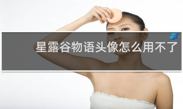 星露谷物语头像怎么用不了