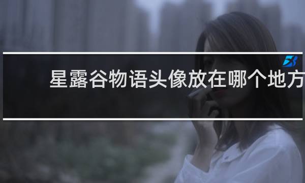 星露谷物语头像放在哪个地方