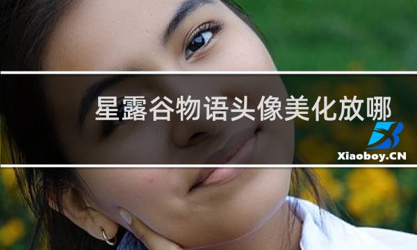 星露谷物语头像美化放哪