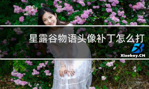 星露谷物语头像补丁怎么打