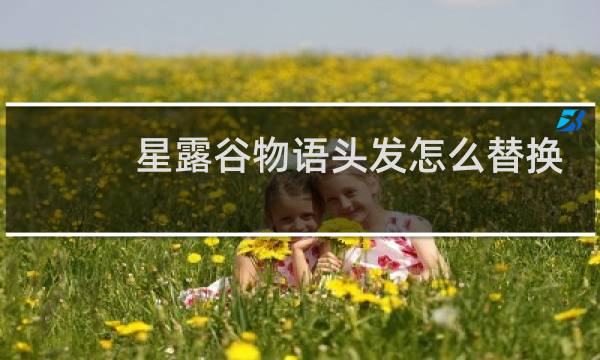 星露谷物语头发怎么替换