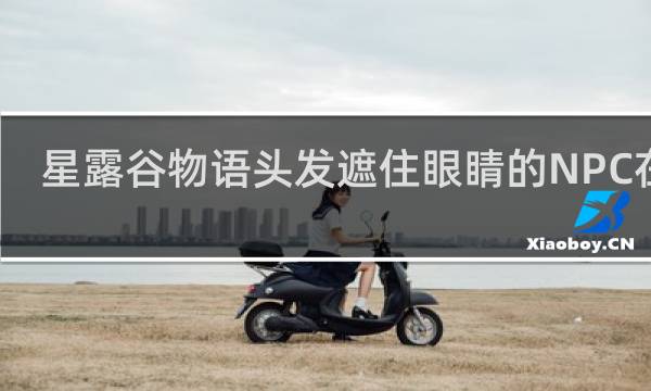 星露谷物语头发遮住眼睛的NPC在哪