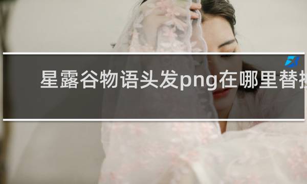 星露谷物语头发png在哪里替换