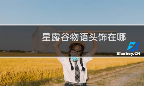 星露谷物语头饰在哪