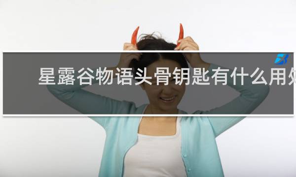 星露谷物语头骨钥匙有什么用处