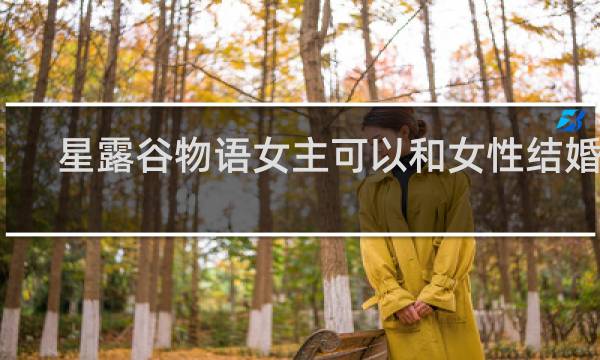 星露谷物语女主可以和女性结婚吗