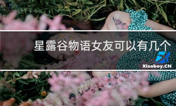 星露谷物语女友可以有几个