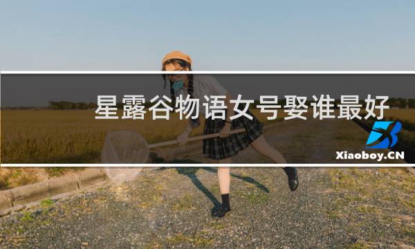 星露谷物语女号娶谁最好