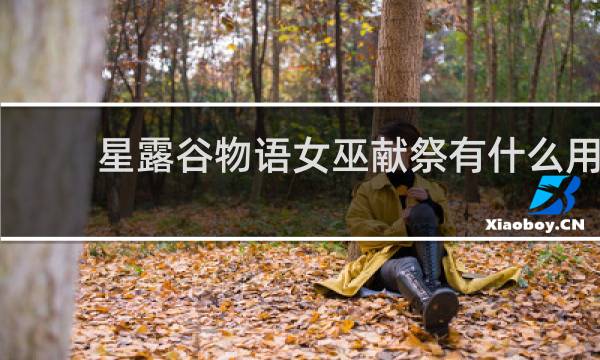 星露谷物语女巫献祭有什么用