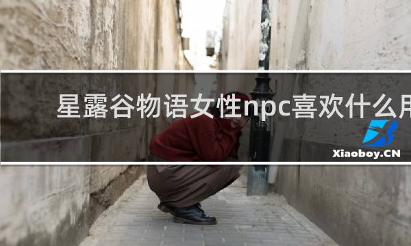 星露谷物语女性npc喜欢什么用