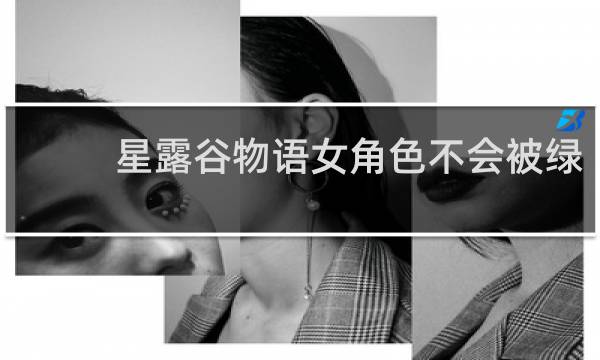 星露谷物语女角色不会被绿