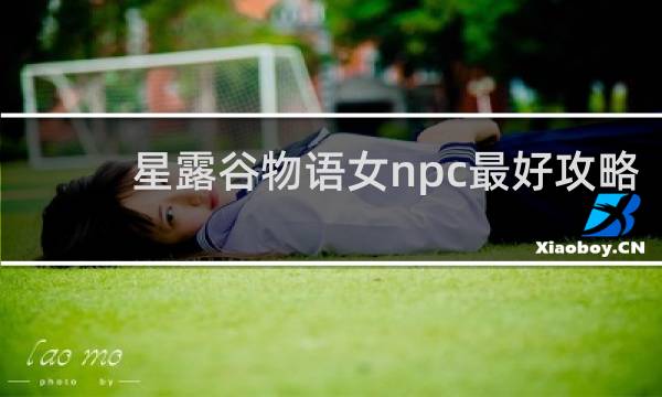 星露谷物语女npc最好攻略