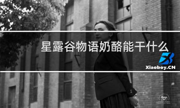 星露谷物语奶酪能干什么