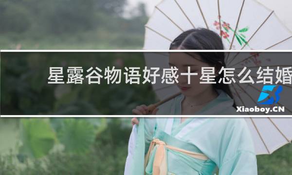 星露谷物语好感十星怎么结婚