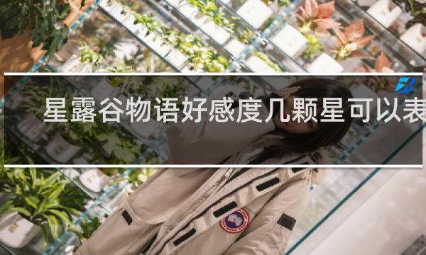 星露谷物语好感度几颗星可以表白
