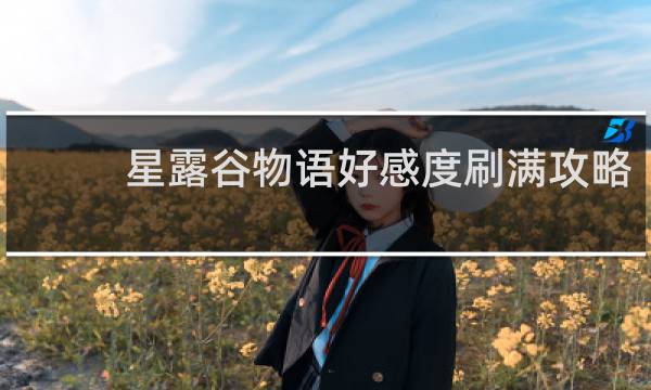 星露谷物语好感度刷满攻略