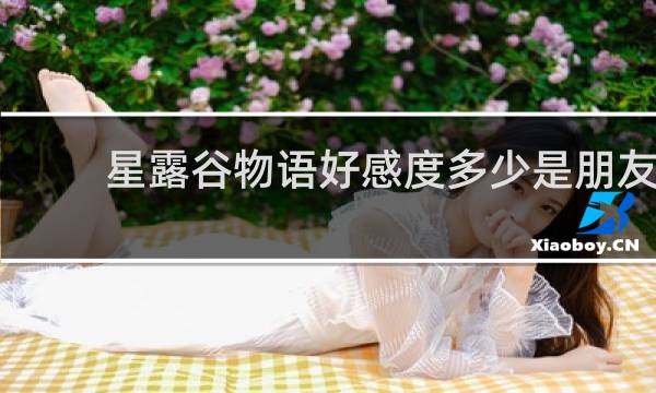 星露谷物语好感度多少是朋友