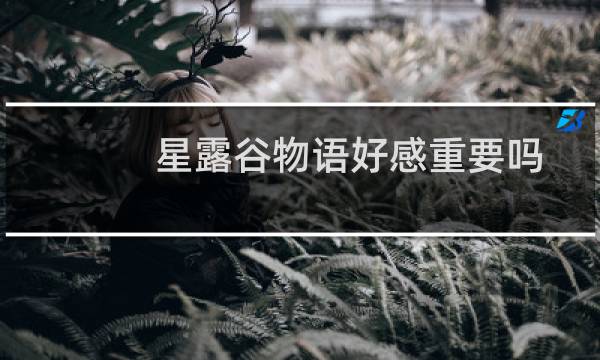 星露谷物语好感重要吗