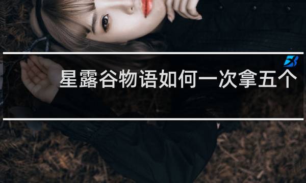 星露谷物语如何一次拿五个