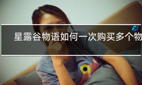 星露谷物语如何一次购买多个物品