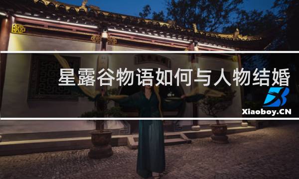 星露谷物语如何与人物结婚