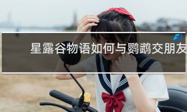 星露谷物语如何与鹦鹉交朋友