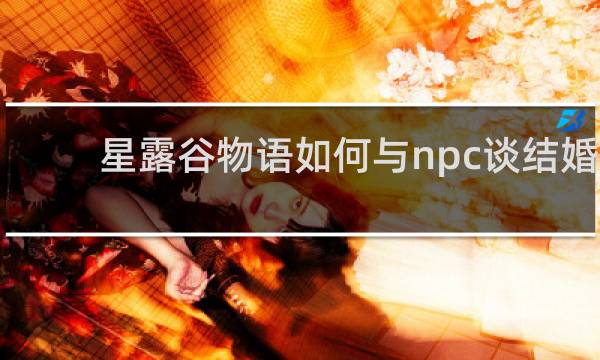星露谷物语如何与npc谈结婚