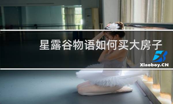 星露谷物语如何买大房子