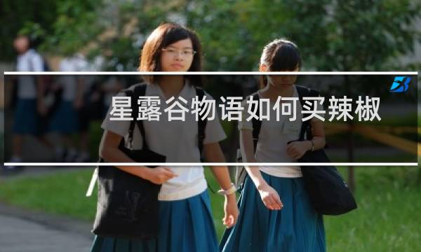 星露谷物语如何买辣椒