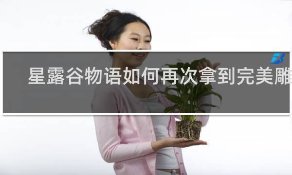 星露谷物语如何再次拿到完美雕像