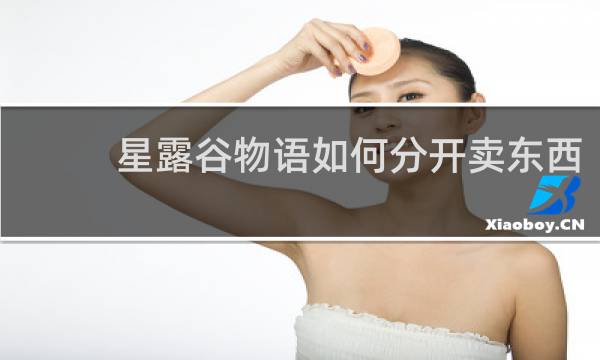 星露谷物语如何分开卖东西