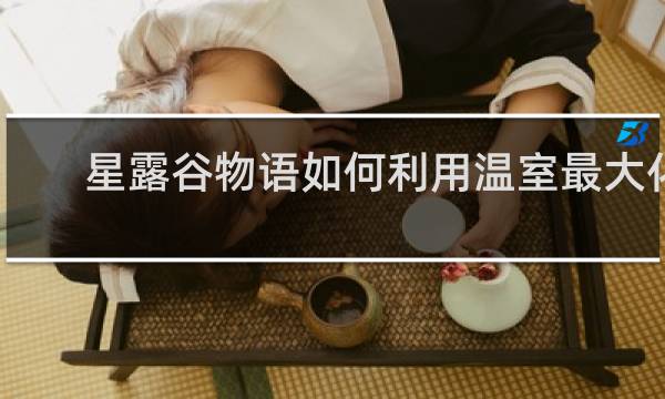 星露谷物语如何利用温室最大化