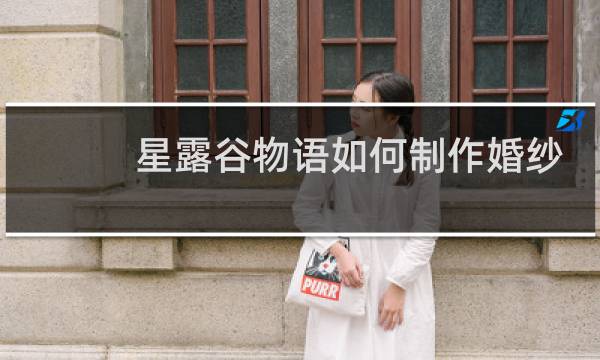 星露谷物语如何制作婚纱