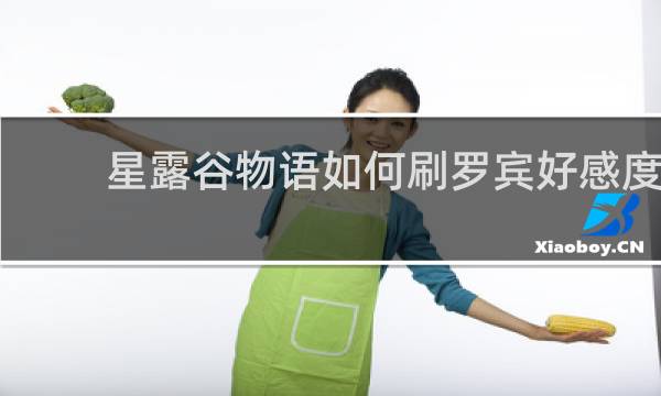 星露谷物语如何刷罗宾好感度