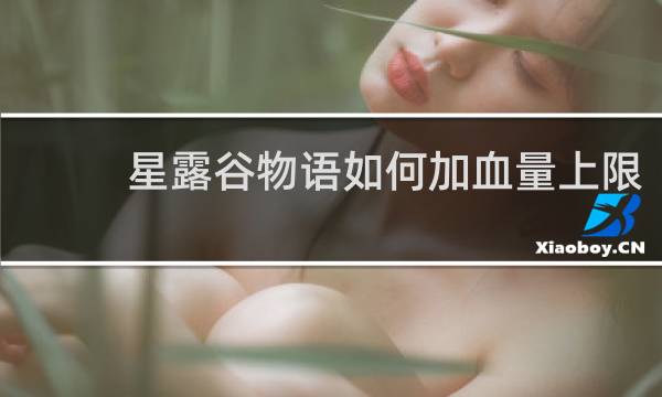 星露谷物语如何加血量上限