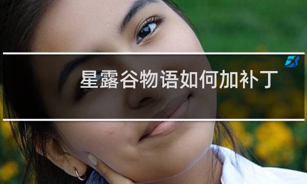 星露谷物语如何加补丁