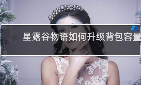 星露谷物语如何升级背包容量