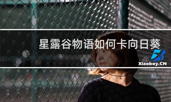 星露谷物语如何卡向日葵