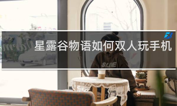 星露谷物语如何双人玩手机