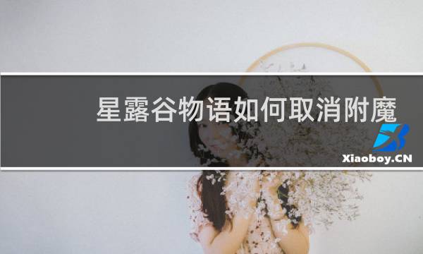 星露谷物语如何取消附魔