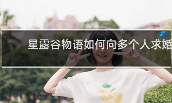 星露谷物语如何向多个人求婚