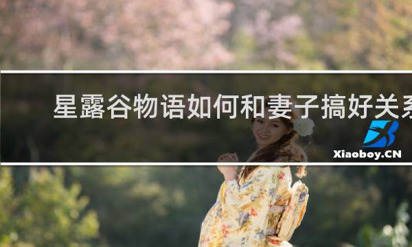 星露谷物语如何和妻子搞好关系