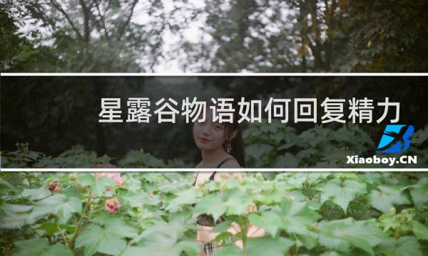 星露谷物语如何回复精力