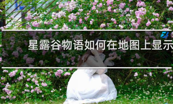 星露谷物语如何在地图上显示